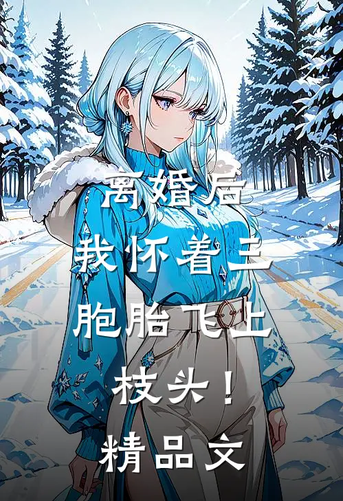 离婚后，我怀着三胞胎飞上枝头！精品文