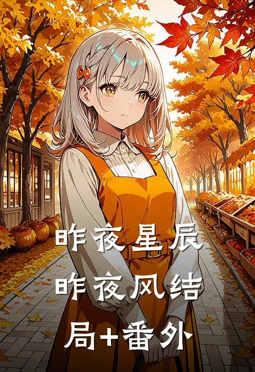 昨夜星辰昨夜风结局+番外