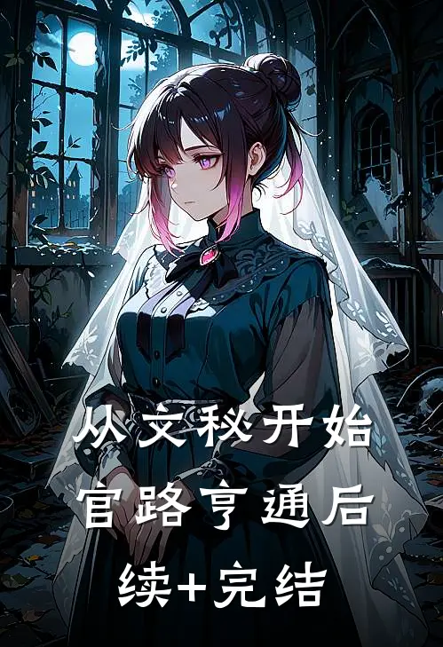 从文秘开始，官路亨通后续+完结