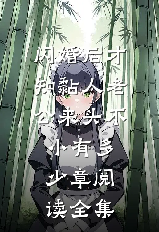 闪婚后才知黏人老公来头不小有多少章阅读全集