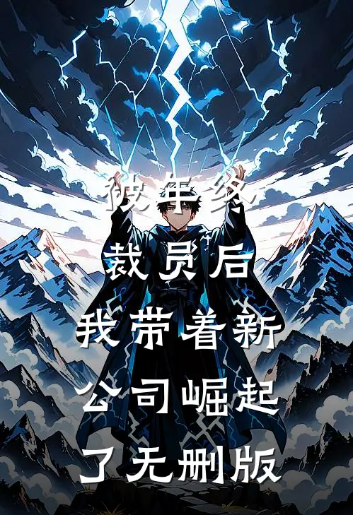 被年终裁员后，我带着新公司崛起了无删版