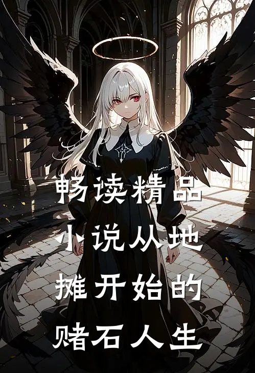 畅读精品小说从地摊开始的赌石人生