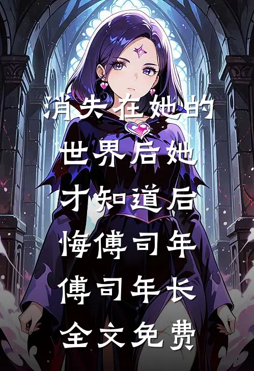 消失在她的世界后她才知道后悔傅司年傅司年长全文免费