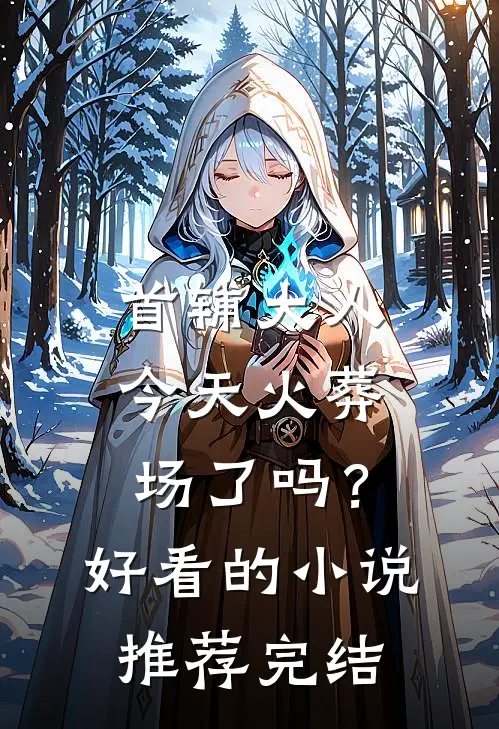 首辅大人今天火葬场了吗？好看的小说推荐完结