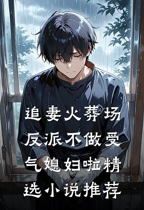 追妻火葬场：反派不做受气媳妇啦精选小说推荐