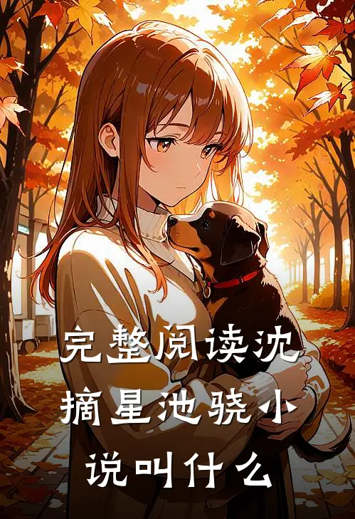 完整阅读沈摘星池骁小说叫什么