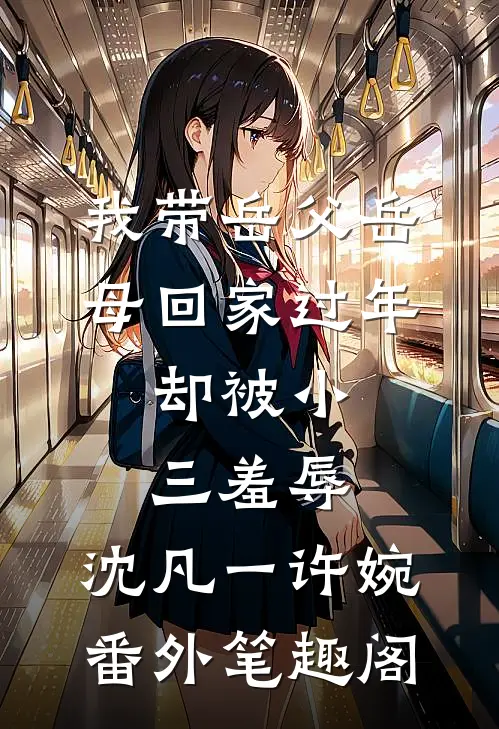 我带岳父岳母回家过年，却被小三羞辱：沈凡一许婉番外笔趣阁