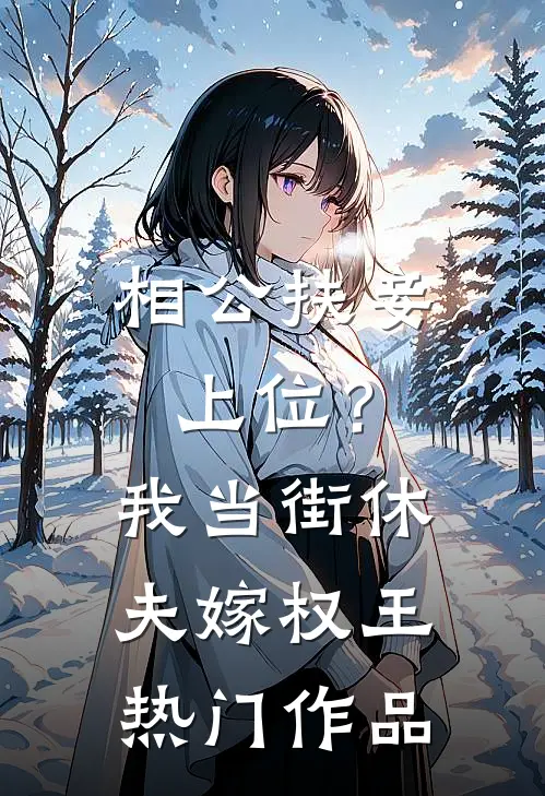 相公扶妾上位？我当街休夫嫁权王热门作品