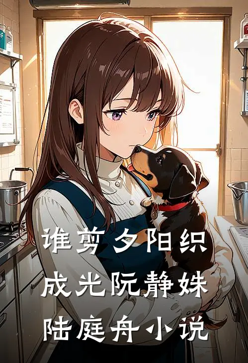 谁剪夕阳织成光阮静姝陆庭舟小说