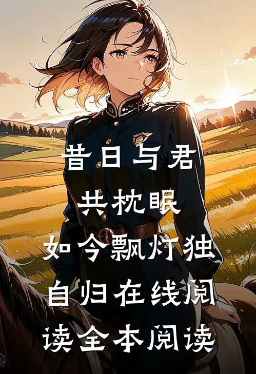 昔日与君共枕眠，如今飘灯独自归在线阅读全本阅读