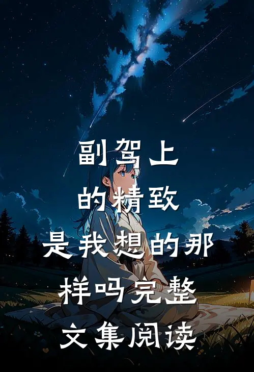 副驾上的精致，是我想的那样吗完整文集阅读