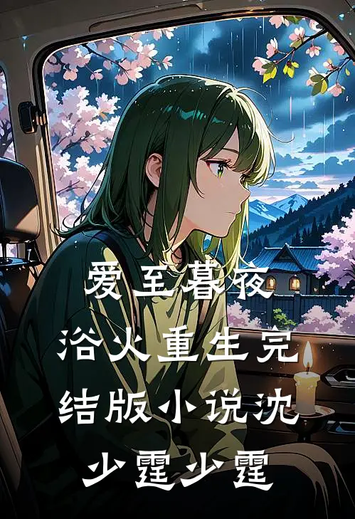 爱至暮夜，浴火重生完结版小说沈少霆少霆