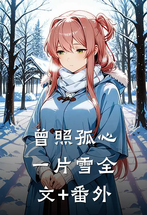 曾照孤心一片雪全文+番外