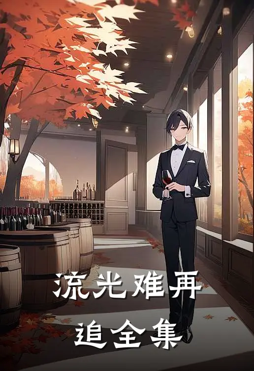 流光难再追全集