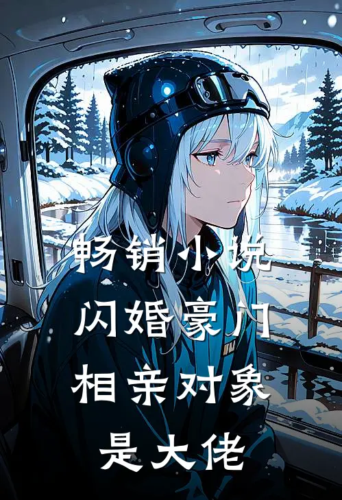 畅销小说闪婚豪门：相亲对象是大佬