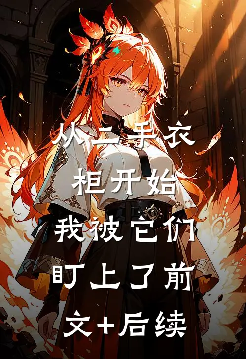 从二手衣柜开始，我被它们盯上了前文+后续