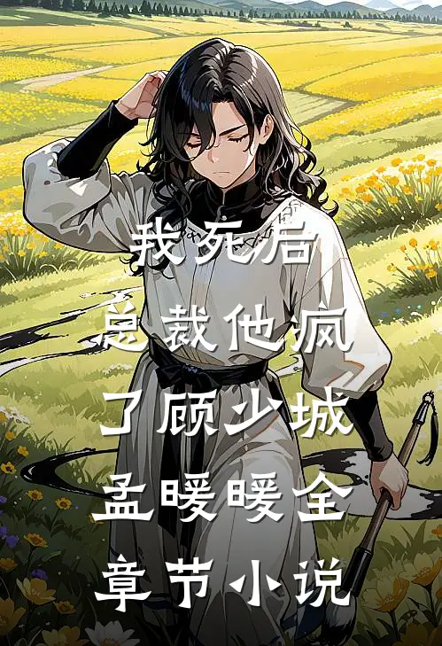 我死后，总裁他疯了顾少城孟暖暖全章节小说