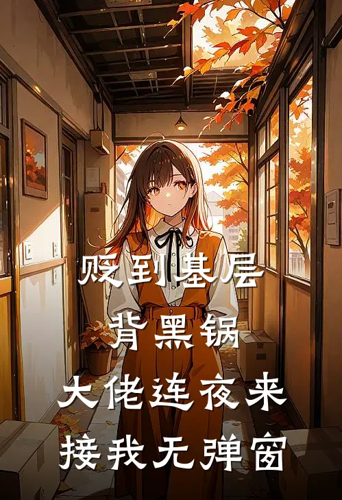 贬到基层背黑锅，大佬连夜来接我无弹窗