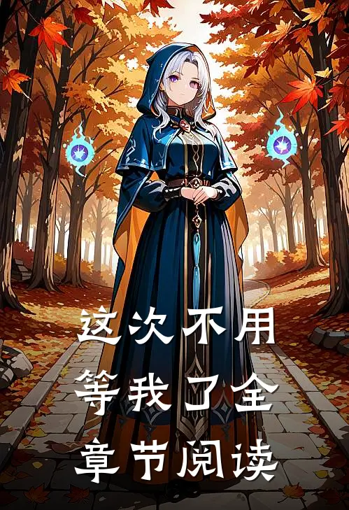 这次不用等我了全章节阅读