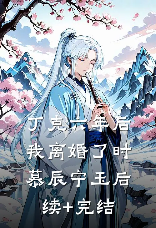 丁克六年后，我离婚了时慕辰宁玉后续+完结