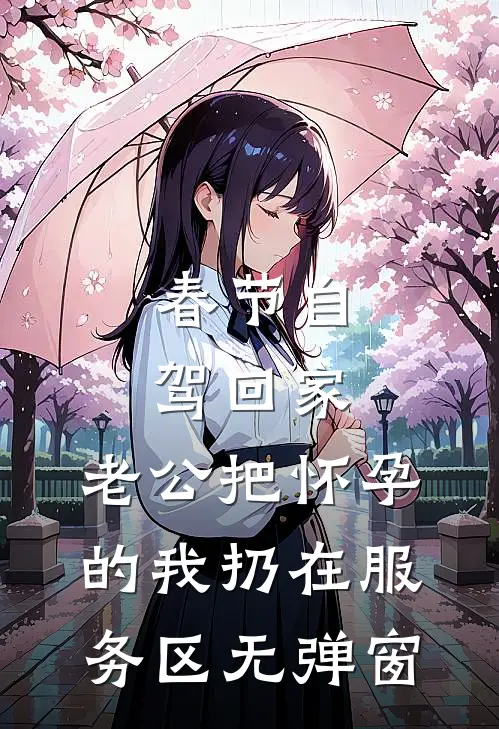 春节自驾回家，老公把怀孕的我扔在服务区无弹窗