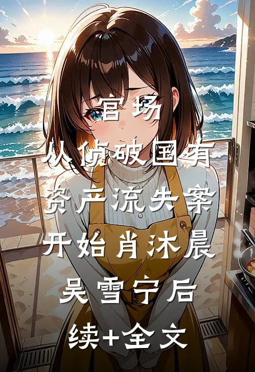 官场：从侦破国有资产流失案开始肖沐晨吴雪宁后续+全文
