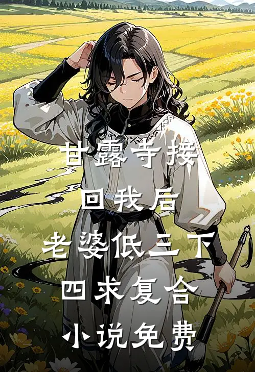甘露寺接回我后，老婆低三下四求复合小说免费