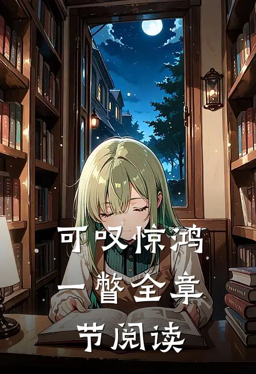可叹惊鸿一瞥全章节阅读