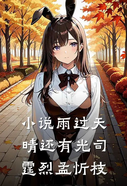 小说雨过天晴还有光(司霆烈孟忻枝)