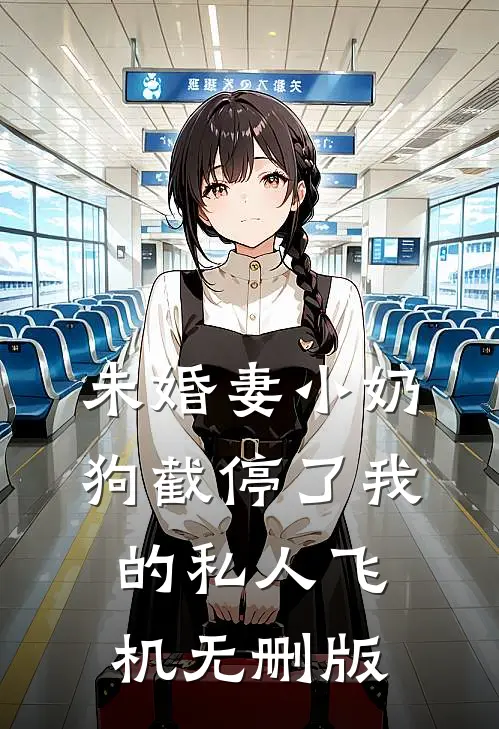未婚妻小奶狗截停了我的私人飞机无删版