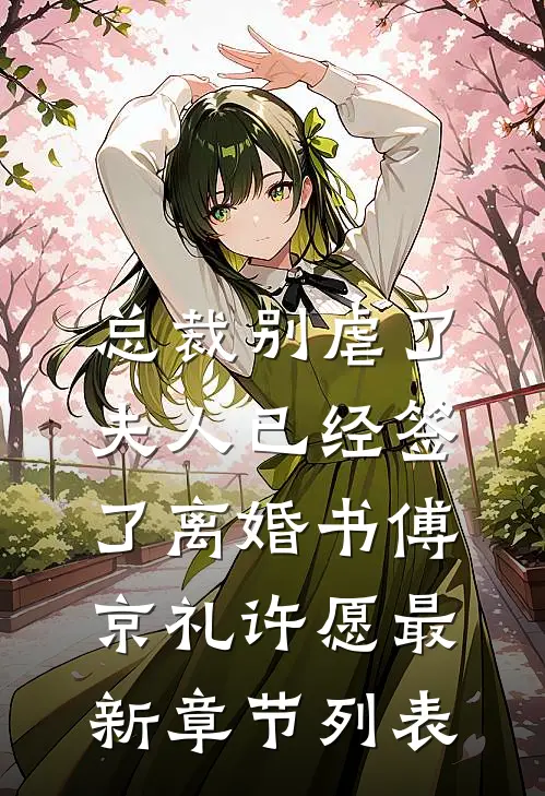 总裁别虐了，夫人已经签了离婚书傅京礼许愿最新章节列表