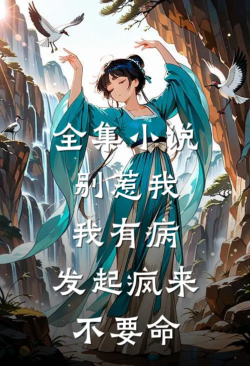 全集小说别惹我，我有病，发起疯来不要命