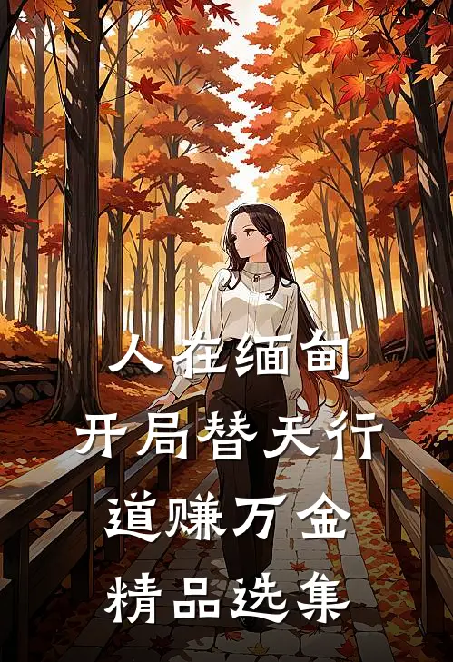 人在缅甸，开局替天行道赚万金精品选集