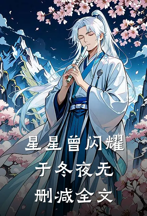 星星曾闪耀于冬夜无删减全文
