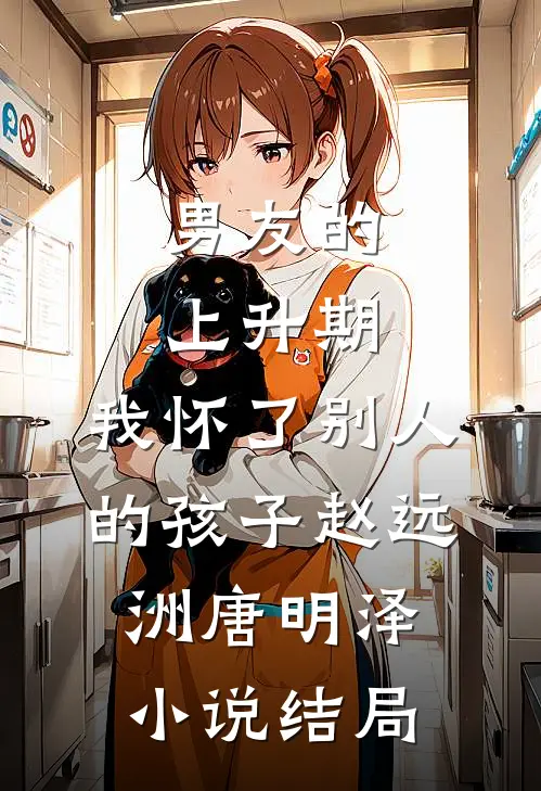 男友的上升期，我怀了别人的孩子赵远洲唐明泽小说结局