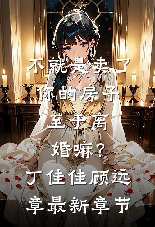 不就是卖了你的房子，至于离婚嘛？丁佳佳顾远章最新章节